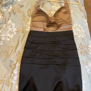 Two Toned Fitted Dress